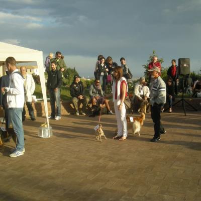 Gruppo Cinofilo We4zampe 2012.67