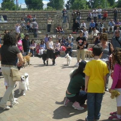 Gruppo Cinofilo We4zampe 2012.75
