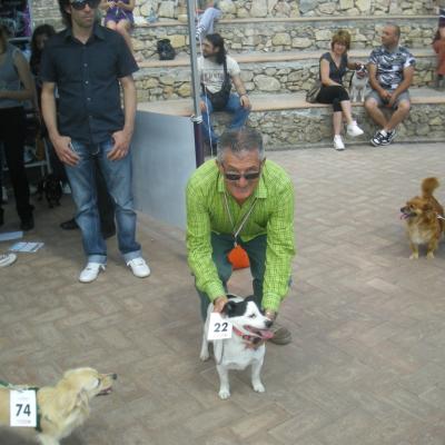 Gruppo Cinofilo We4zampe 2012.76