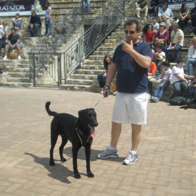 Gruppo Cinofilo We4zampe 2012.77