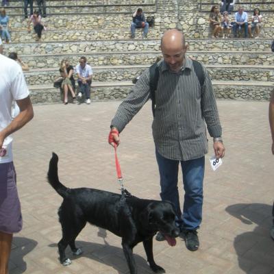Gruppo Cinofilo We4zampe 2012.99