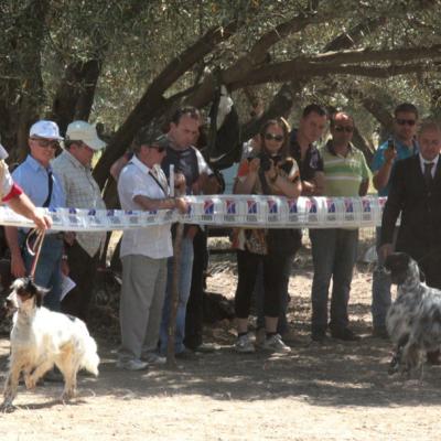 Gruppo Cinofilo Expo 2012 013