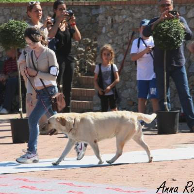 Gruppo Cinofilo Expo 2012 028