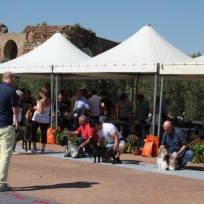 Gruppo Cinofilo Expo 2012 042