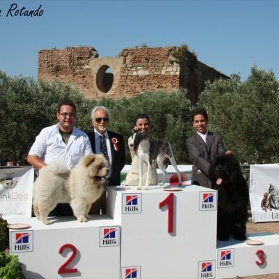 Gruppo Cinofilo Expo 2012 044