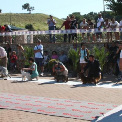 Gruppo Cinofilo Expo 2012 050