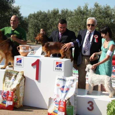 Gruppo Cinofilo Expo 2012 051