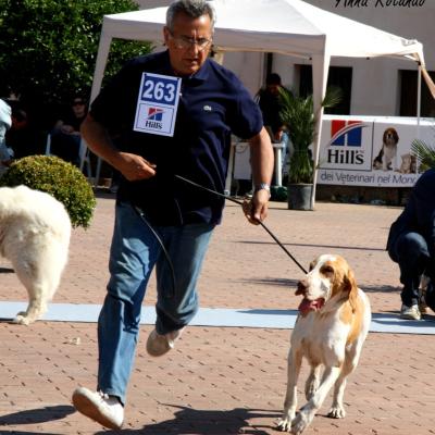 Gruppo Cinofilo Expo 2012 054