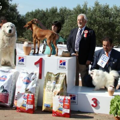 Gruppo Cinofilo Expo 2012 056