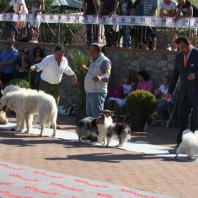 Gruppo Cinofilo Expo 2012 058
