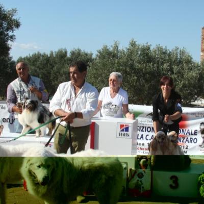 Gruppo Cinofilo Expo 2012 060