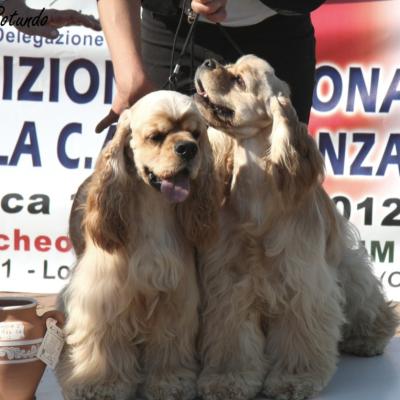Gruppo Cinofilo Expo 2012 061