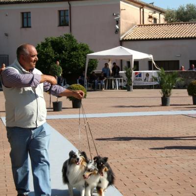 Gruppo Cinofilo Expo 2012 064