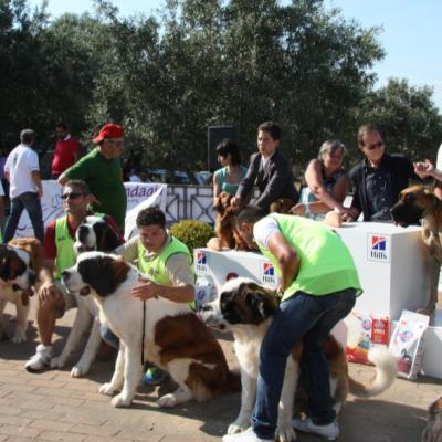 Gruppo Cinofilo Expo 2012 065