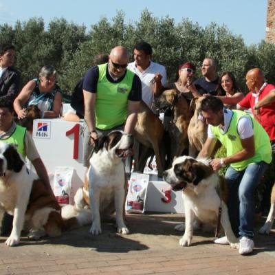 Gruppo Cinofilo Expo 2012 066