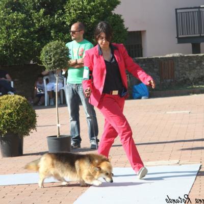 Gruppo Cinofilo Expo 2012 067