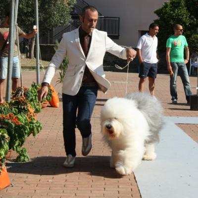 Gruppo Cinofilo Expo 2012 068