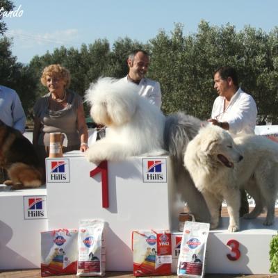 Gruppo Cinofilo Expo 2012 071