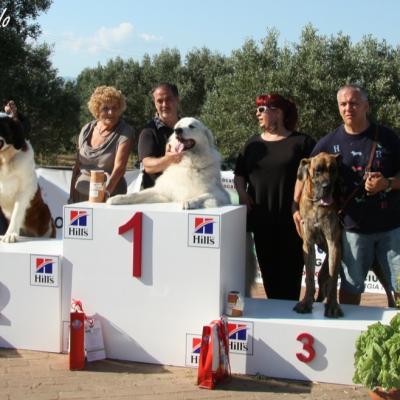 Gruppo Cinofilo Expo 2012 073