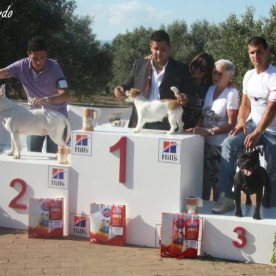 Gruppo Cinofilo Expo 2012 075