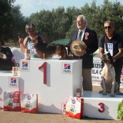 Gruppo Cinofilo Expo 2012 076