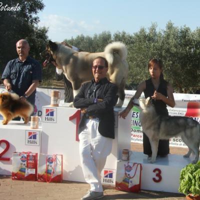 Gruppo Cinofilo Expo 2012 077