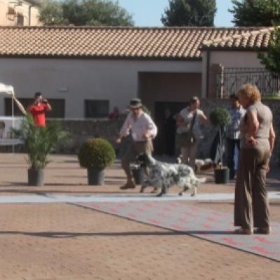 Gruppo Cinofilo Expo 2012 078