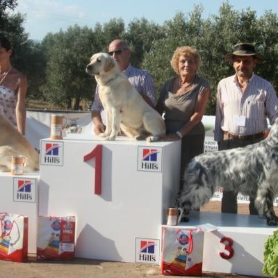 Gruppo Cinofilo Expo 2012 080