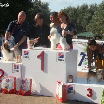 Gruppo Cinofilo Expo 2012 081
