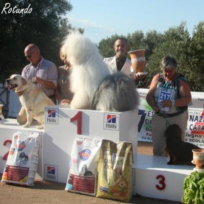 Gruppo Cinofilo Expo 2012 085