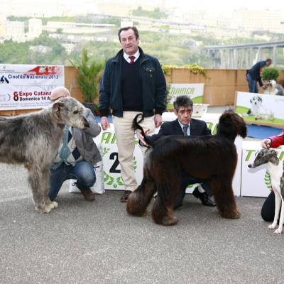 Gruppo Cinofilo Expo 2013.031
